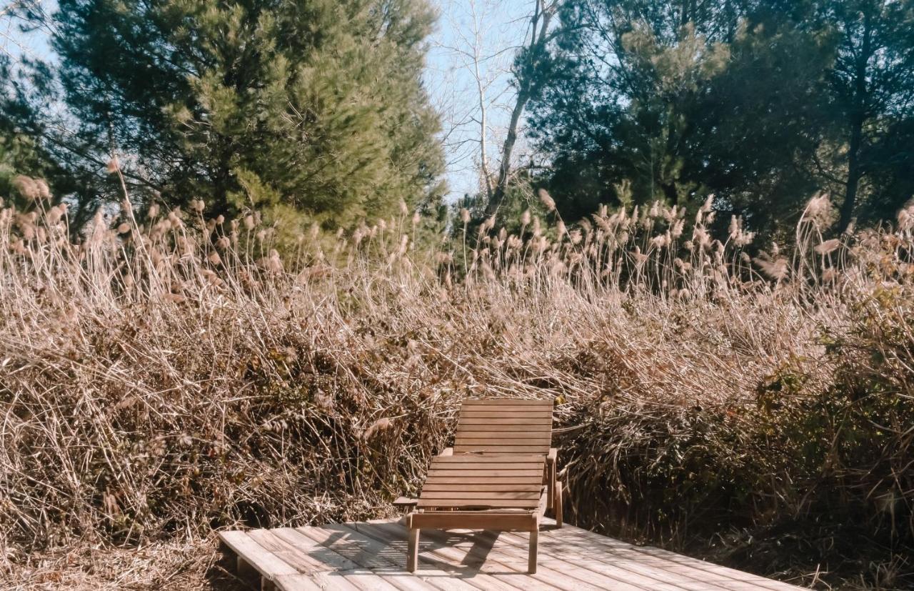 Cooltainer Retreat: Sustainable Coastal Forest Tiny House Near Barcelona Castelldefels Extérieur photo